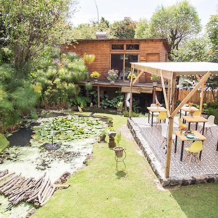 Canto De Aves Eco-Hotel Boutique Malinalco Zewnętrze zdjęcie
