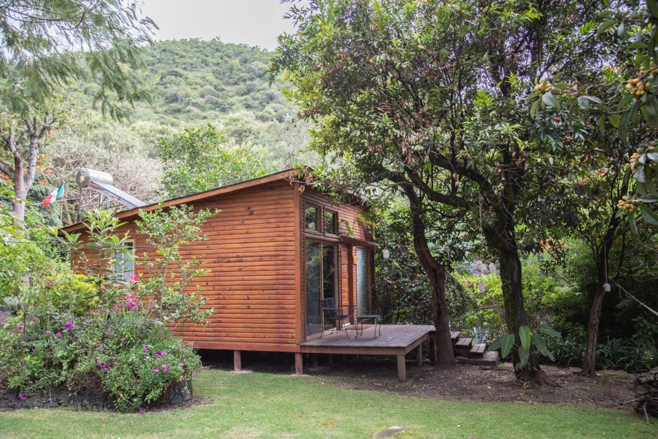 Canto De Aves Eco-Hotel Boutique Malinalco Zewnętrze zdjęcie