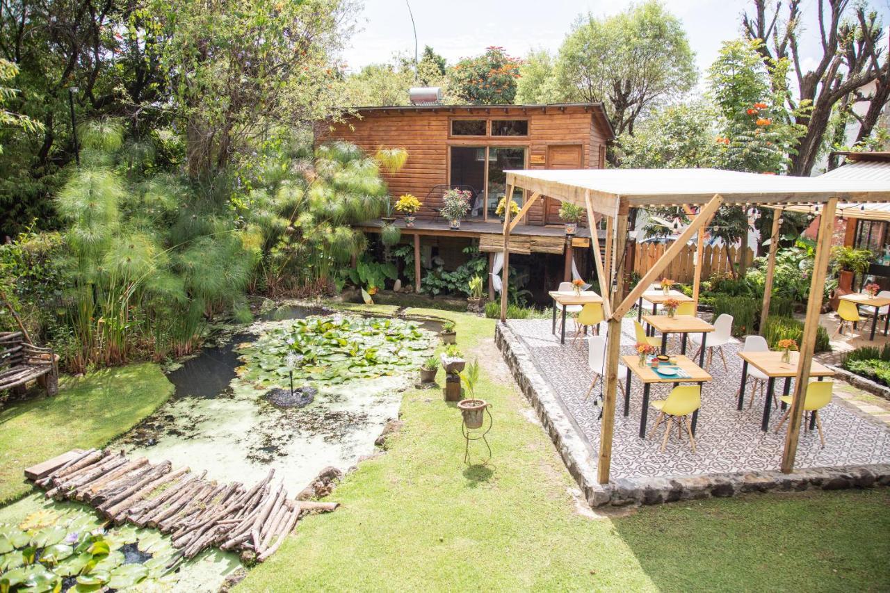 Canto De Aves Eco-Hotel Boutique Malinalco Zewnętrze zdjęcie